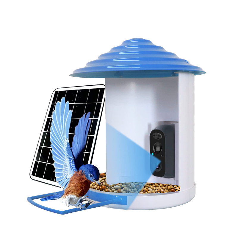 Mangeoire connectée Sherem pour colibris avec caméra