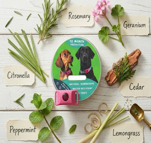 đ12 Months Flea and Tick Free