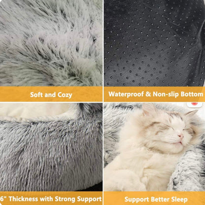 Petsboro CozyPaws