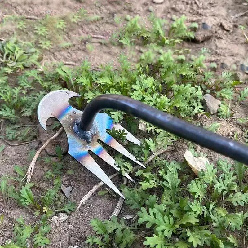 Sherem Weeding Tool