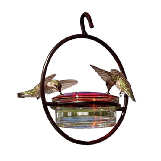 Sherem Circular Hummingbird Feeder