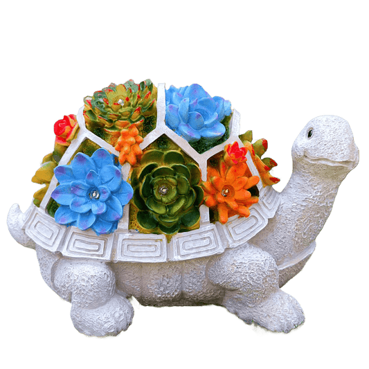 Sherem SunGlow Turtle
