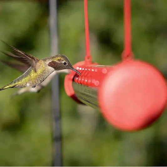 Biberon HummiFeeder