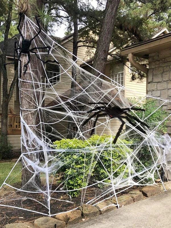 Toile d'araignée et araignée de décoration d'Halloween