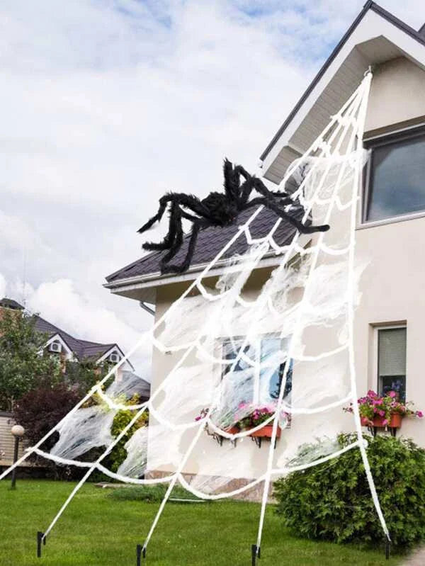 Toile d'araignée et araignée de décoration d'Halloween