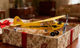 Esslyn SkyDreamer Cub