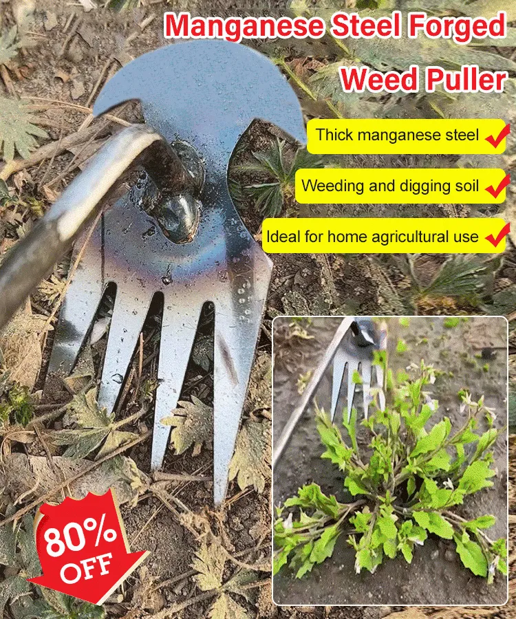 Sherem Weeding Tool