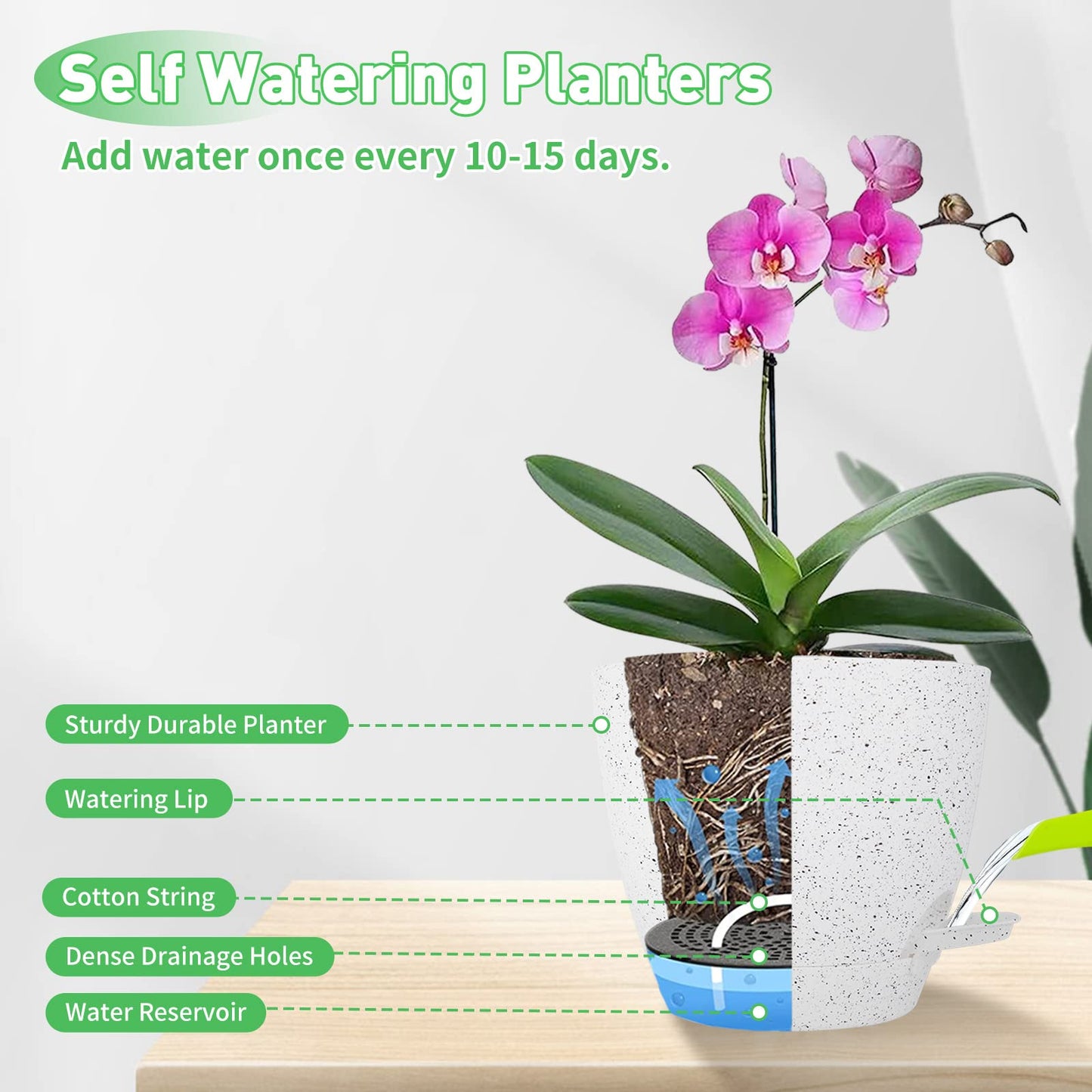 Pots de fleurs à réserve d'eau