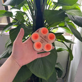 Esslyn™ Blossom Water Cups