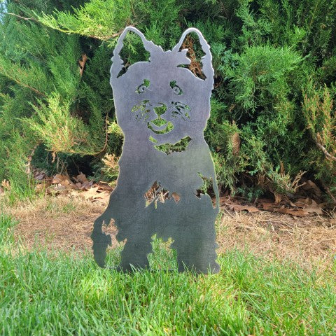 Cairn-terrier