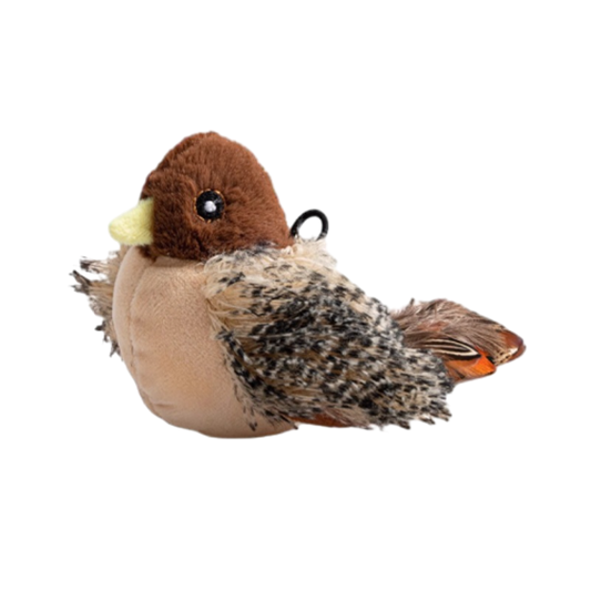 PetsBoro FeatherFun Flyer