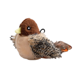 PetsBoro FeatherFun Flyer