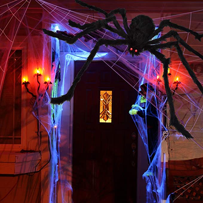 Toile d'araignée et araignée de décoration d'Halloween