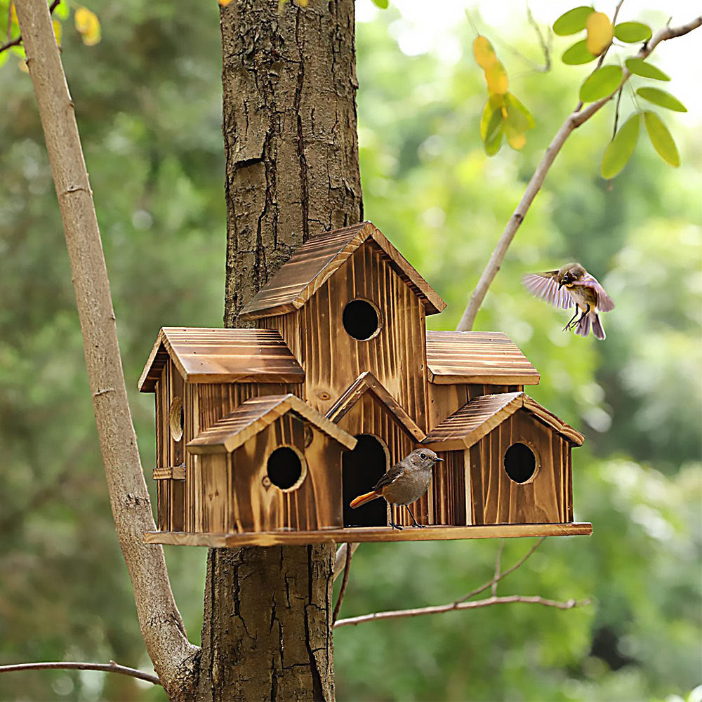 Niche à oiseaux artisanale à 6 trous - CADEAU POUR LES AMOUREUX DE LA NATURE