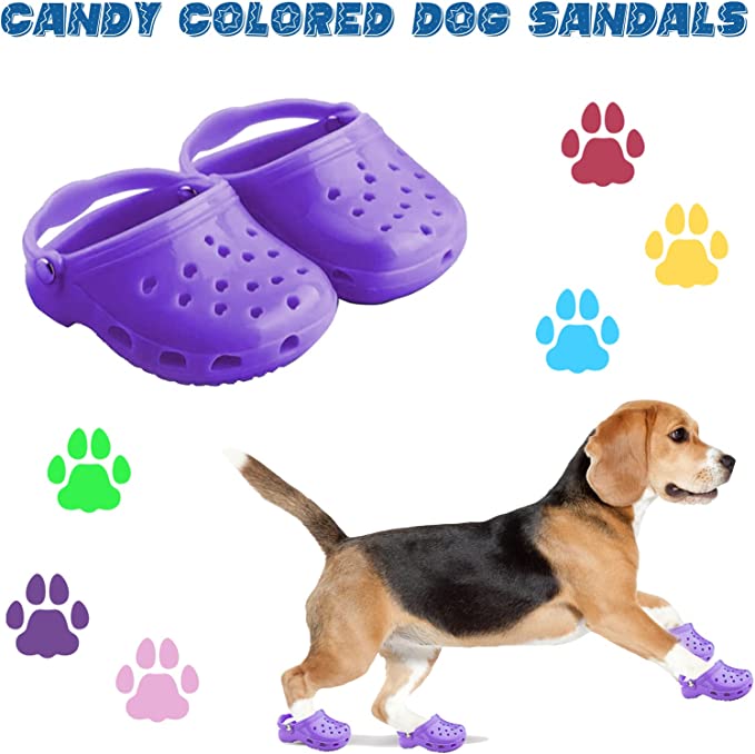 Crocs pour chiens 2022 pour petits chiens