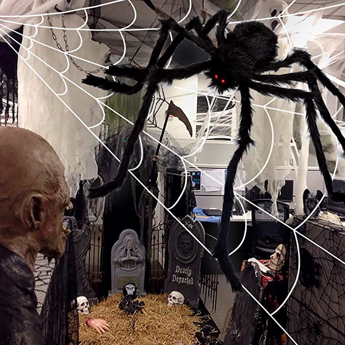 Toile d'araignée et araignée de décoration d'Halloween