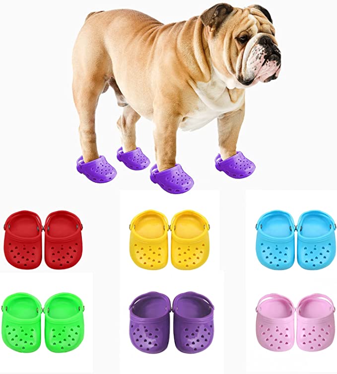 Crocs pour chiens 2022 pour petits chiens