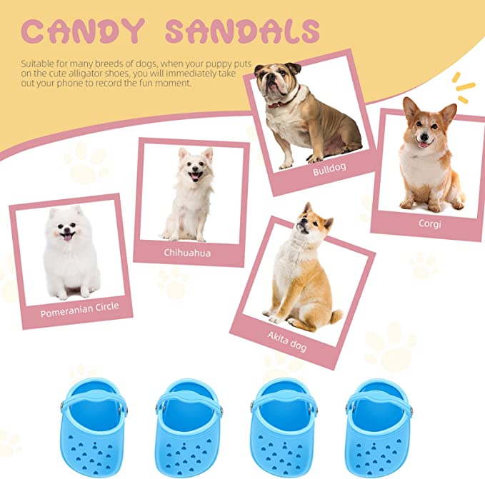 Crocs pour chiens 2022 pour petits chiens