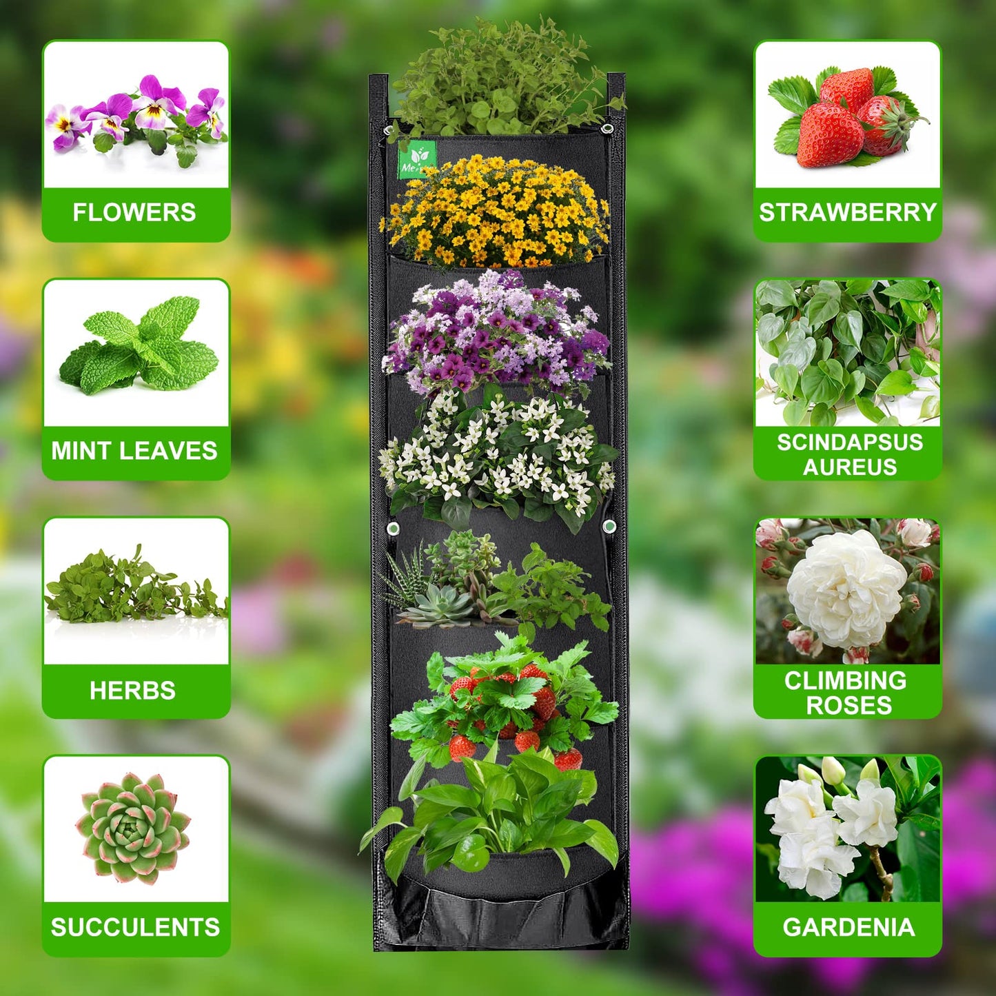 Sacs de plantation suspendus verticaux muraux pour plantes