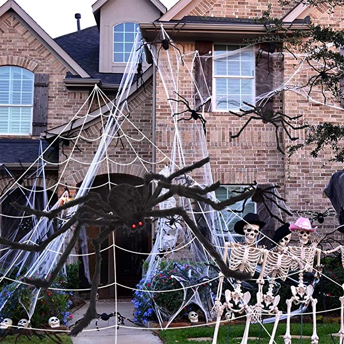Toile d'araignée et araignée de décoration d'Halloween
