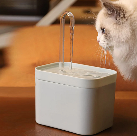 Fontaine à eau automatique pour chat