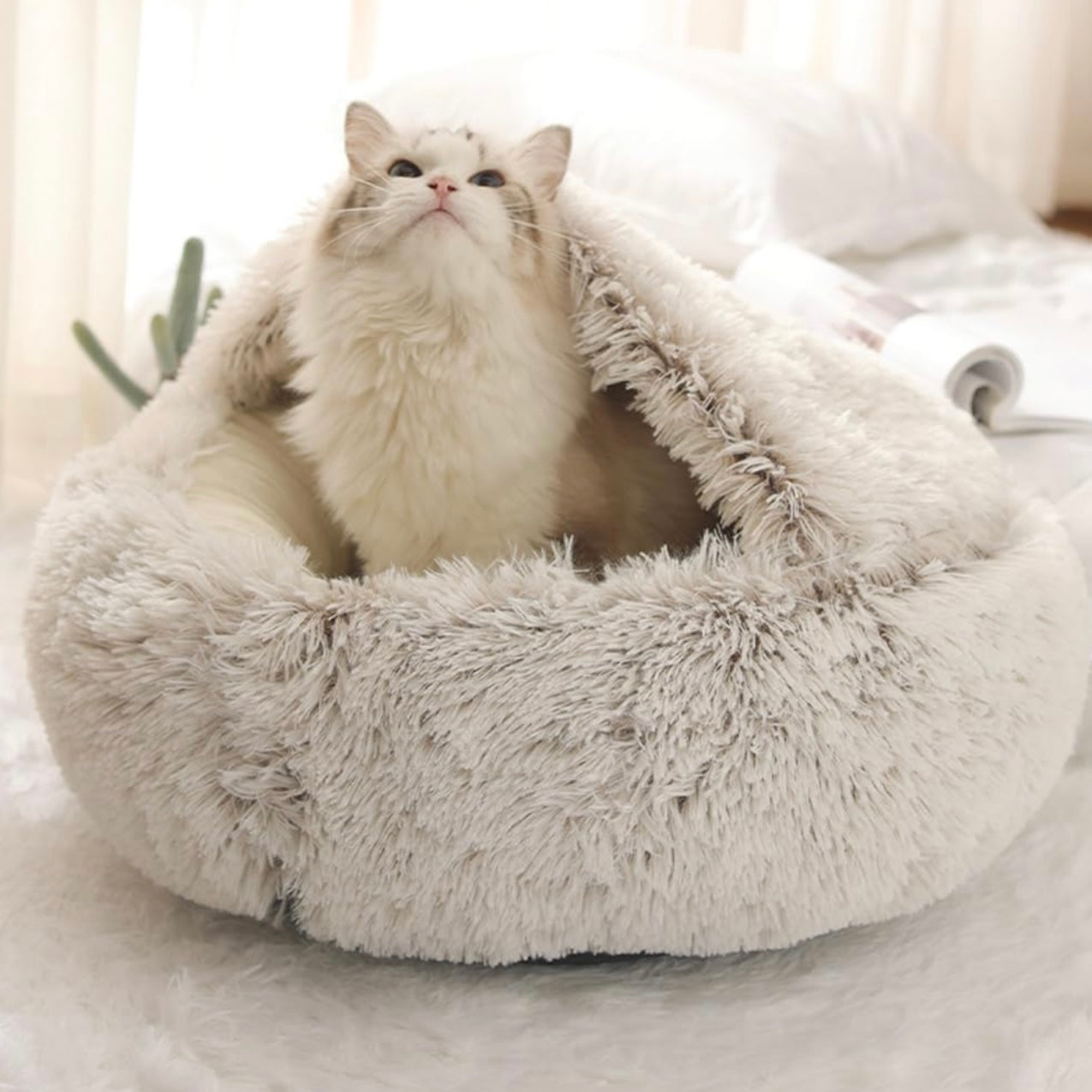 Petsboro CozyPaws
