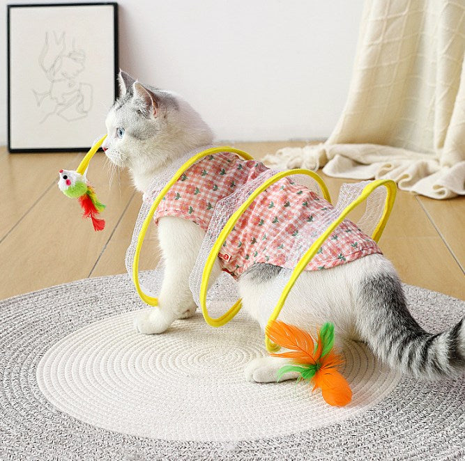 Tunnel pour chat Joyhnny Pawspring