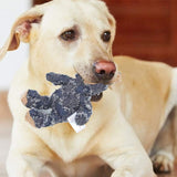 PetsBoro Robust Bear