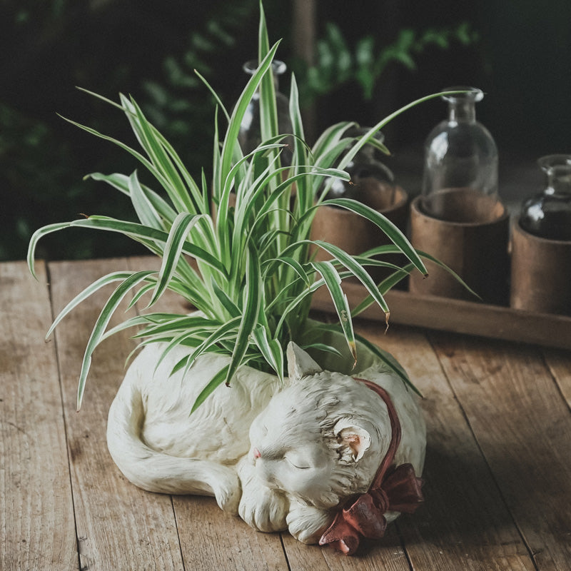 Pot de fleurs en résine créatif pour chat blanc mignon et bonsaï