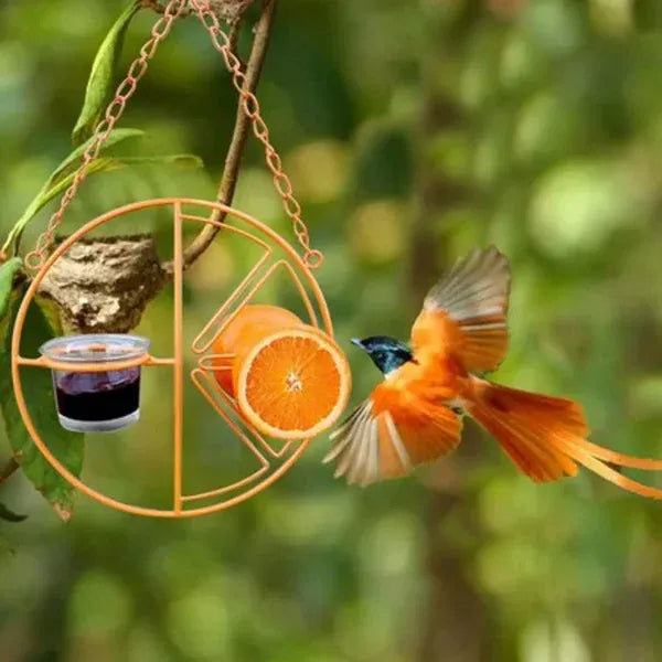 Mangeoire à oiseaux Sherem FruitLure