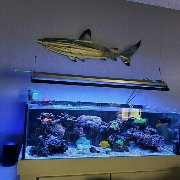 🦈 Décoration Murale Requin Métal