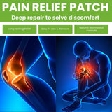 Eelhoe Pain Relief Patches boxes