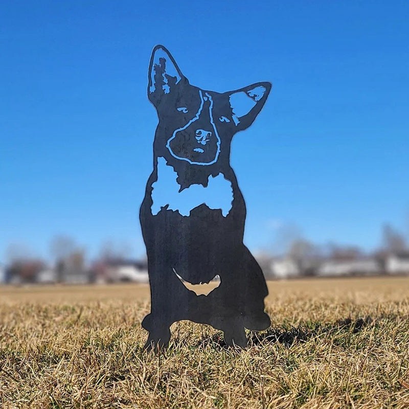 Cairn-terrier