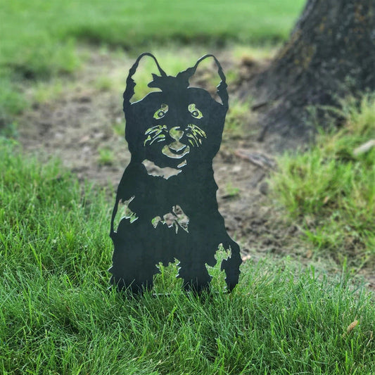 Cairn-terrier