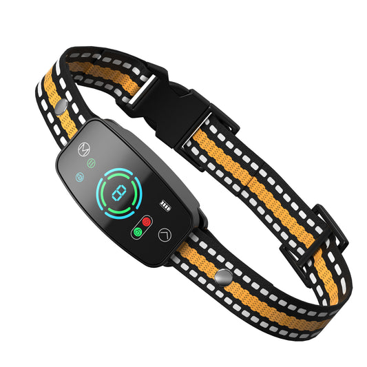Petlori Training Collar