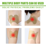 Eelhoe Pain Relief Patches boxes