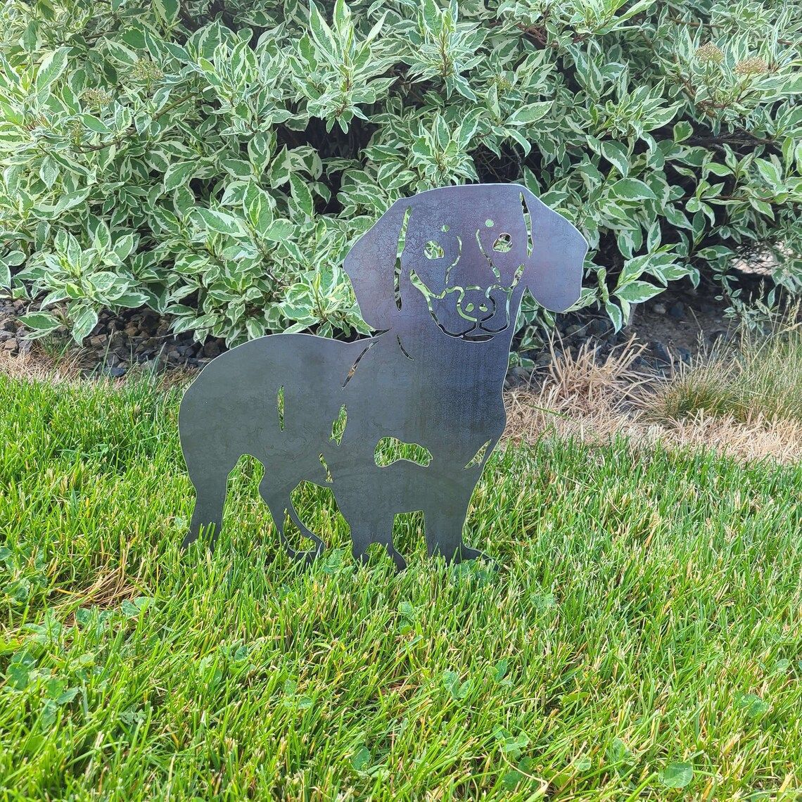Cairn-terrier