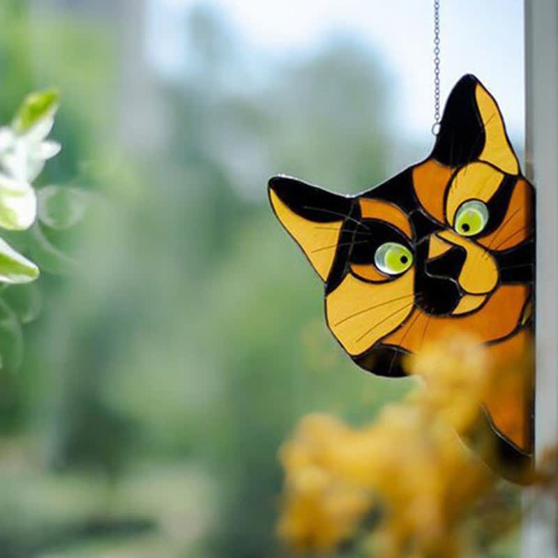 Attrape-soleil chat curieux pour fenêtre