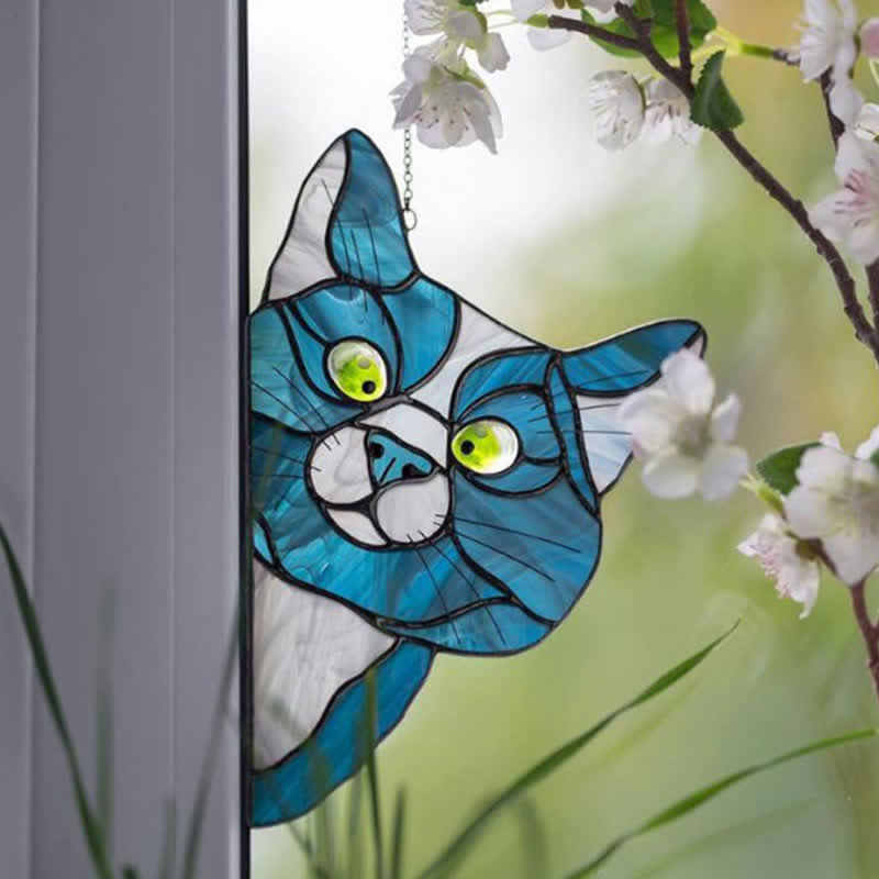 Attrape-soleil chat curieux pour fenêtre