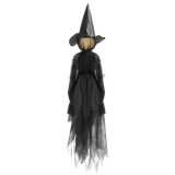 Vueeze™ Hollowveil Witch