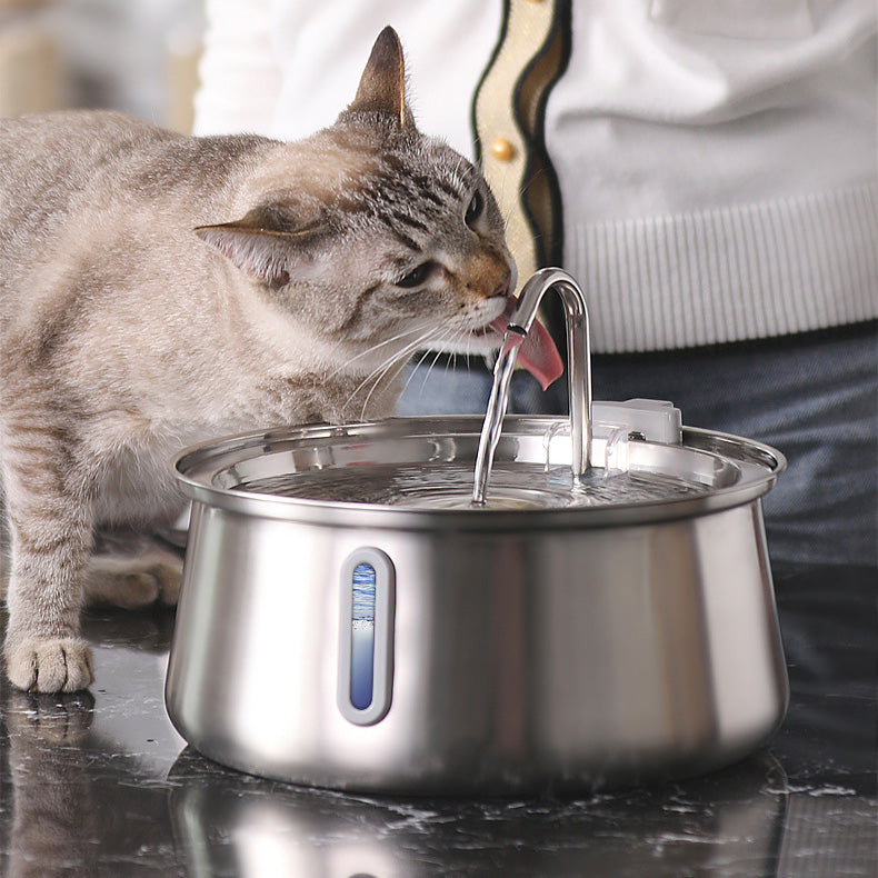 Fontaine à eau en acier inoxydable PetsBoro pour chat