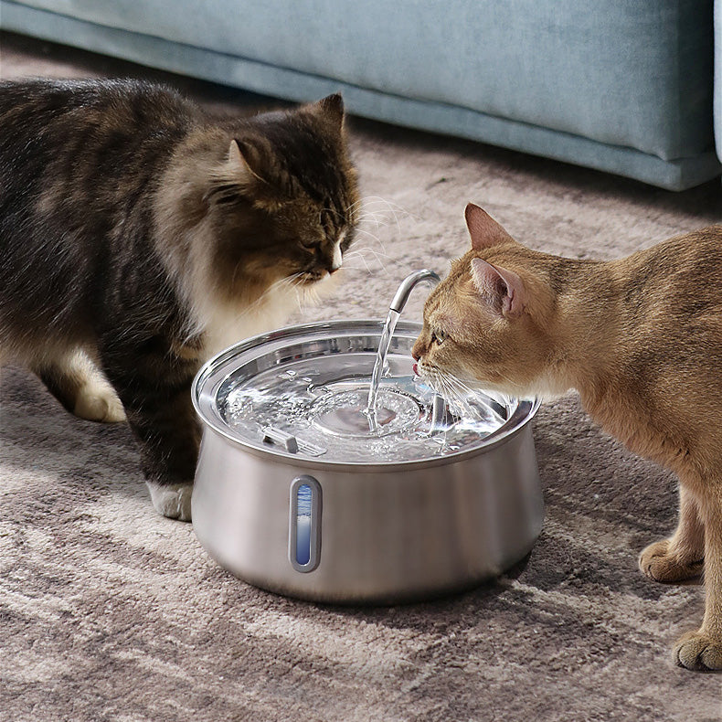 Fontaine à eau en acier inoxydable PetsBoro pour chat