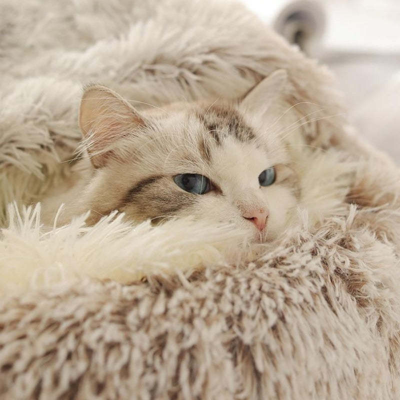 Petsboro CozyPaws