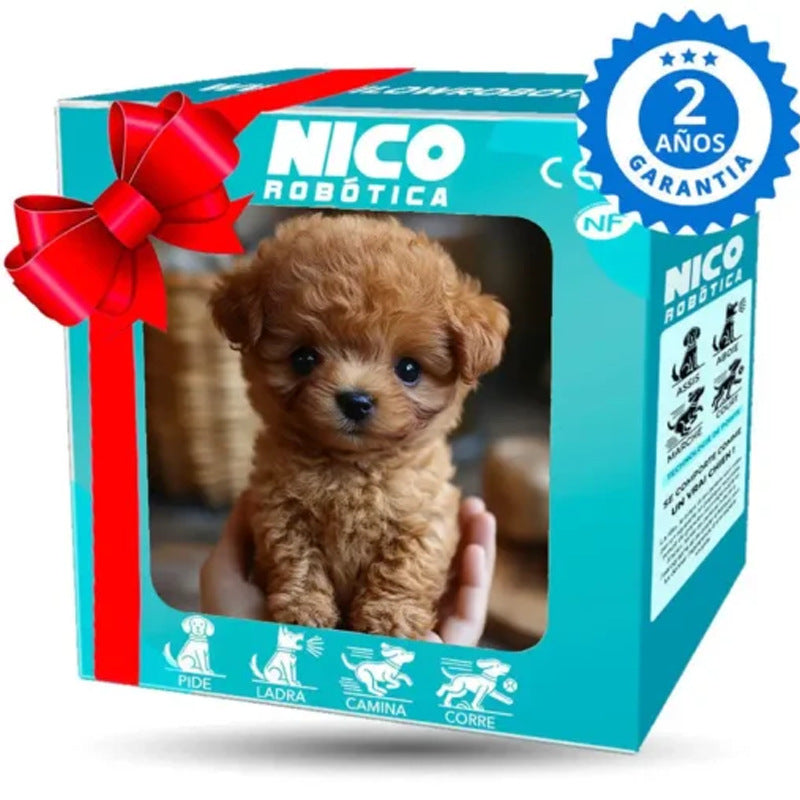 Petlori™ Chien Zoomer