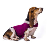 Keilini Dog Anxiety Jacket