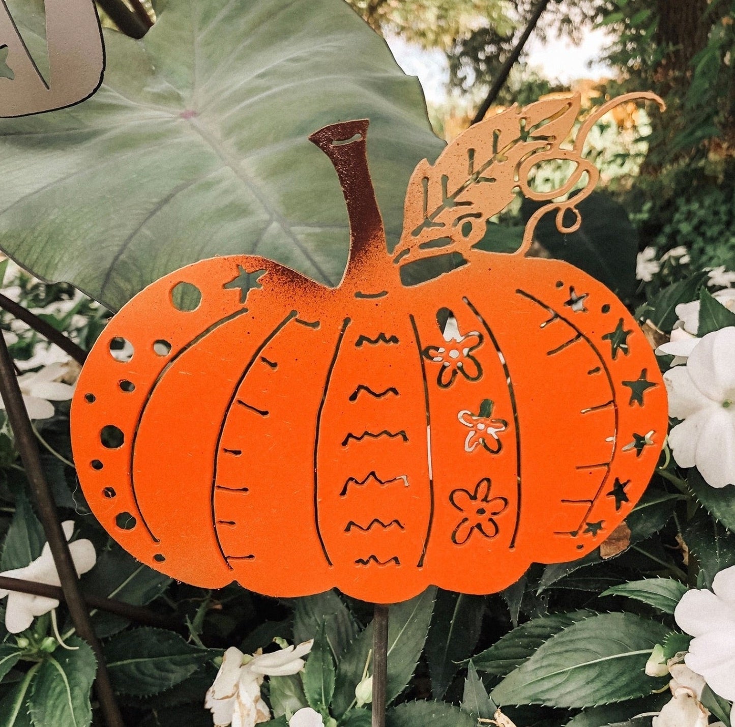 Party Pumpkin