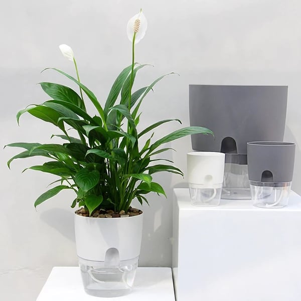 Pot de fleurs à réserve d'eau