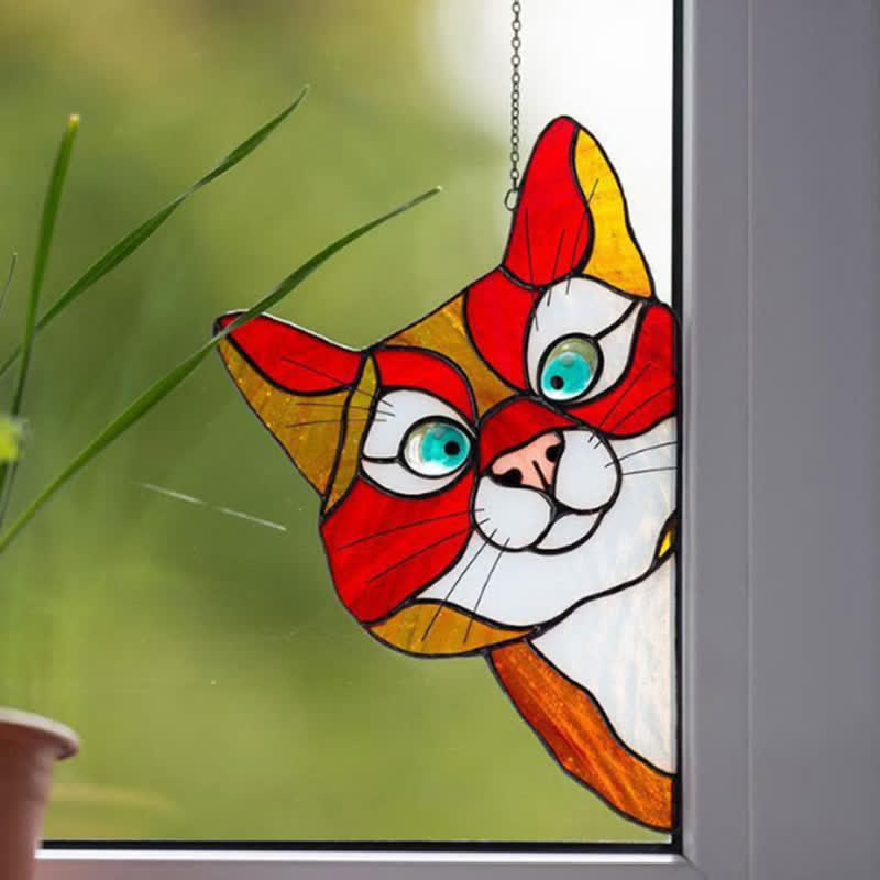 Attrape-soleil chat curieux pour fenêtre