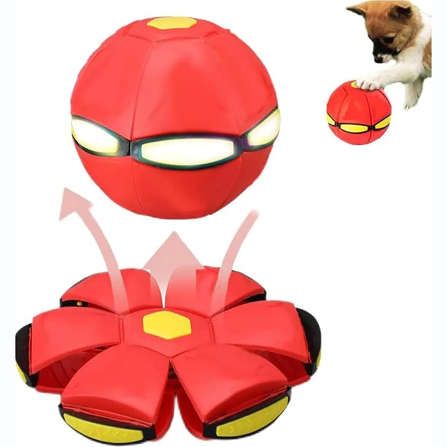 Disque Petootsy Doggy Delight #