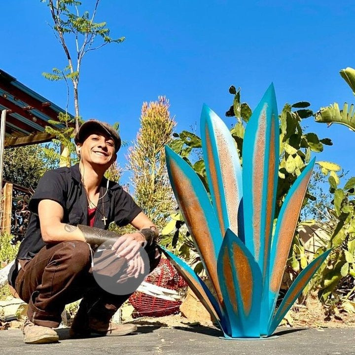 Plantes d'agave de Sherem Metal Tequila
